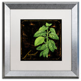 Color Bakery 'Black Gold Herbs IV' Art, Silver Frame, White Matte, 16"x16"