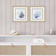 Coral Shades Framed Art, 2-Piece Set