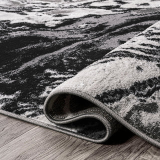 Swirl Marbled Abstract Area Rug, Black/Ivory, 4 X 6