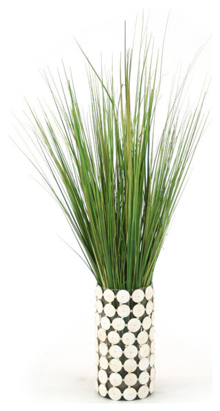 WaterlookÂ® Variegated Light Green Grass in Glass Cylinder