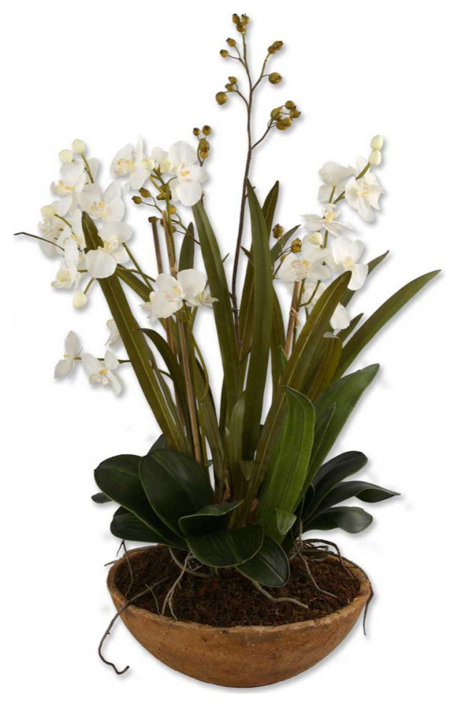 Uttermost Moth Orchid Planter