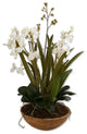 Uttermost Moth Orchid Planter