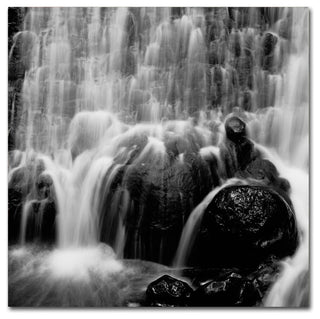 "Velo de Novia" Canvas Art by Moises Levy