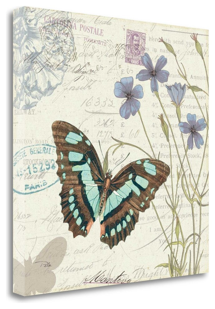 "Papillon Tales I" By Pela Studio, Giclee Print on Gallery Wrap Canvas