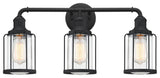 Quoizel LUD8624 3 Light 24"W Vanity Light - Earth Black