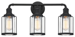 Quoizel LUD8624 3 Light 24"W Vanity Light - Earth Black