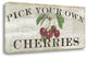 "Farm Fresh Cherries" By Sue Schlabach, Giclee Print on Gallery Wrap Canvas