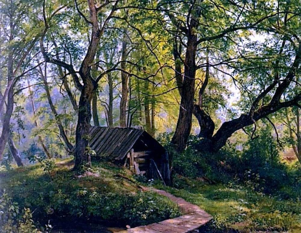 Ivan Ivanovich Shishkin Old limes, 21"x28" Gallery Wrapped Canvas Print