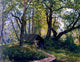 Ivan Ivanovich Shishkin Old limes, 21"x28" Gallery Wrapped Canvas Print