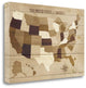 "Usa Modern VIntage Wood" By Michael Mullan, Giclee Print on Gallery Wrap Canvas