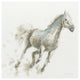 "Stallion I" Digital Paper Print by James Wiens, 42"x42"