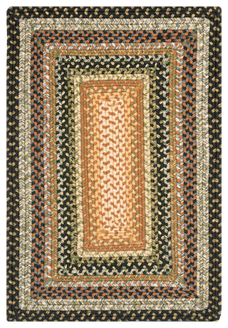 Safavieh Braided Collection BRD308 Rug, Multi, 3'x5'