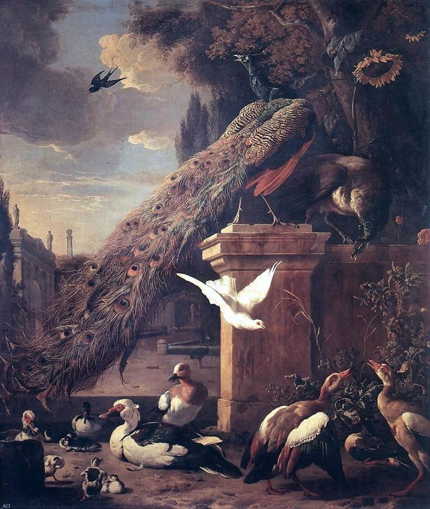 Melchior D'Hondecoeter Peacocks and Ducks, 20"x25" Wall Decal