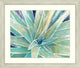 Jewel Agave, Giclee Reproduction Artwork