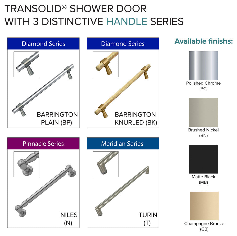 Brooklyn 60"x80" Frameless Shower Door, Iron Glass, Brushed Stainless