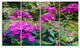 Theme With Pink Flowers and Green, Floral Art Canvas Print, 48"x28", 4 Panels