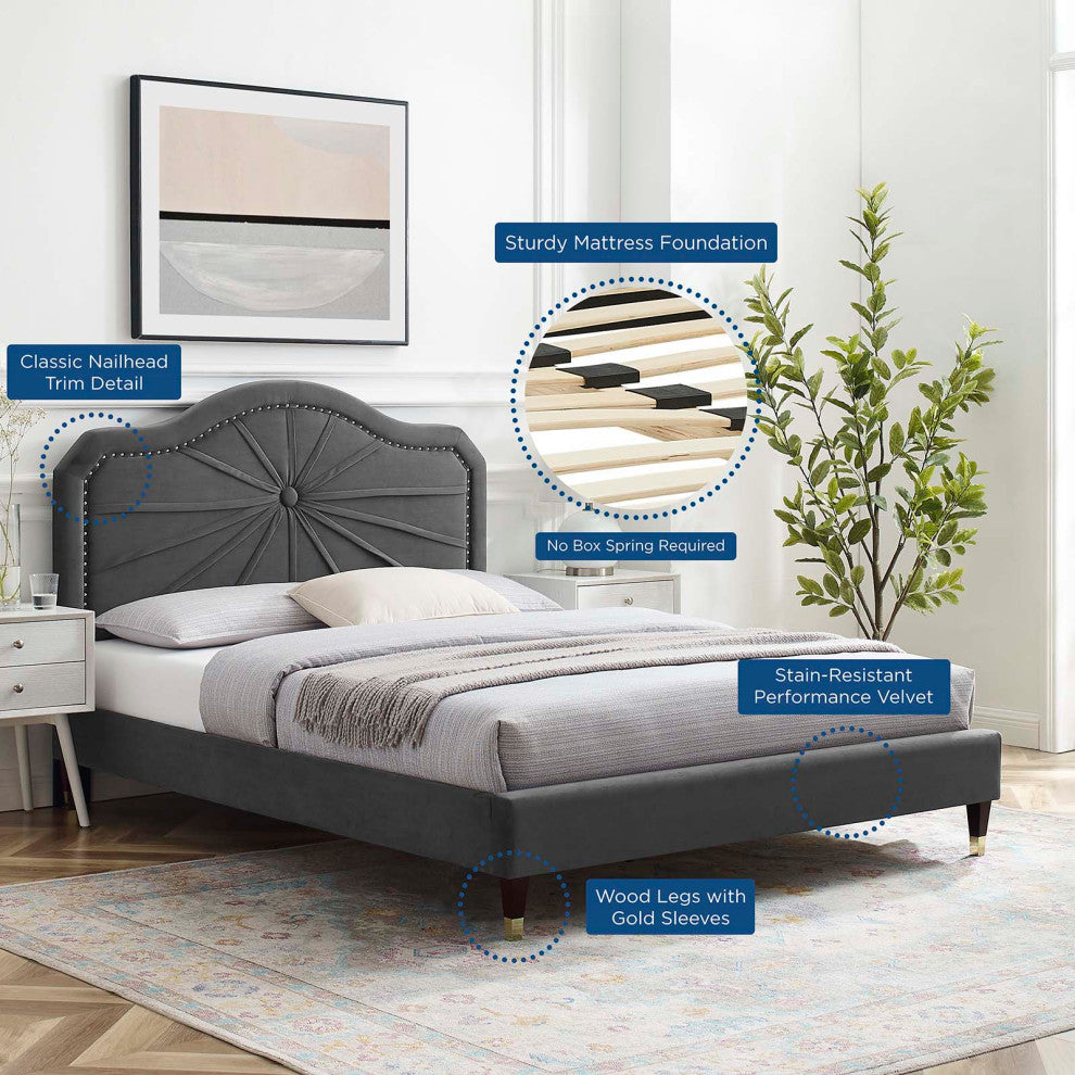 Platform Bed Frame, Queen Size, Velvet, Dark Gray, Modern Contemporary