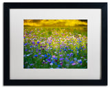 'Candy Fields' Matted Framed Canvas Art by Philippe Sainte-Laudy