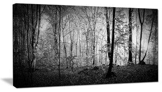 Morning in Thick Fall Forest, Large landscape Canvas Art Print, 60"x28"