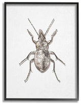 Textured Beetle Minimal Shadow Brown White Design,1pc, each 16 x 20