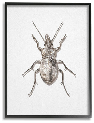 Textured Beetle Minimal Shadow Brown White Design,1pc, each 16 x 20