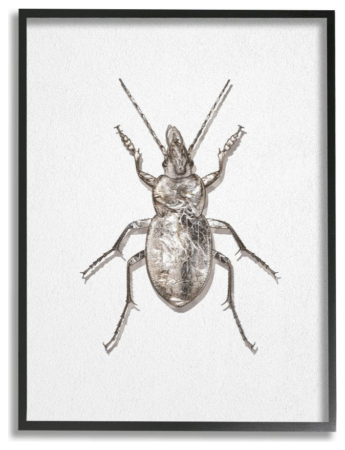 Textured Beetle Minimal Shadow Brown White Design,1pc, each 16 x 20
