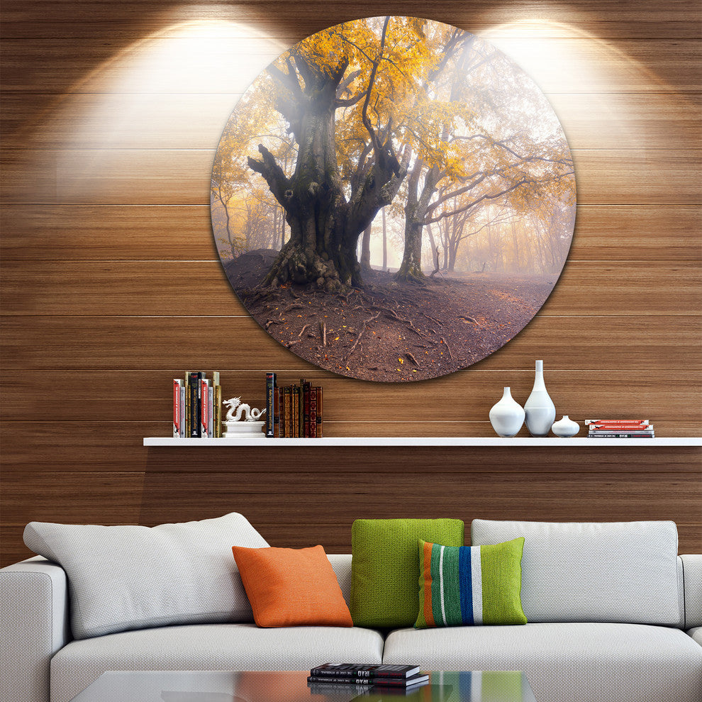Dark Tree With Yellow Leaves, Landscape Photo Round Metal Wall Art, 11"