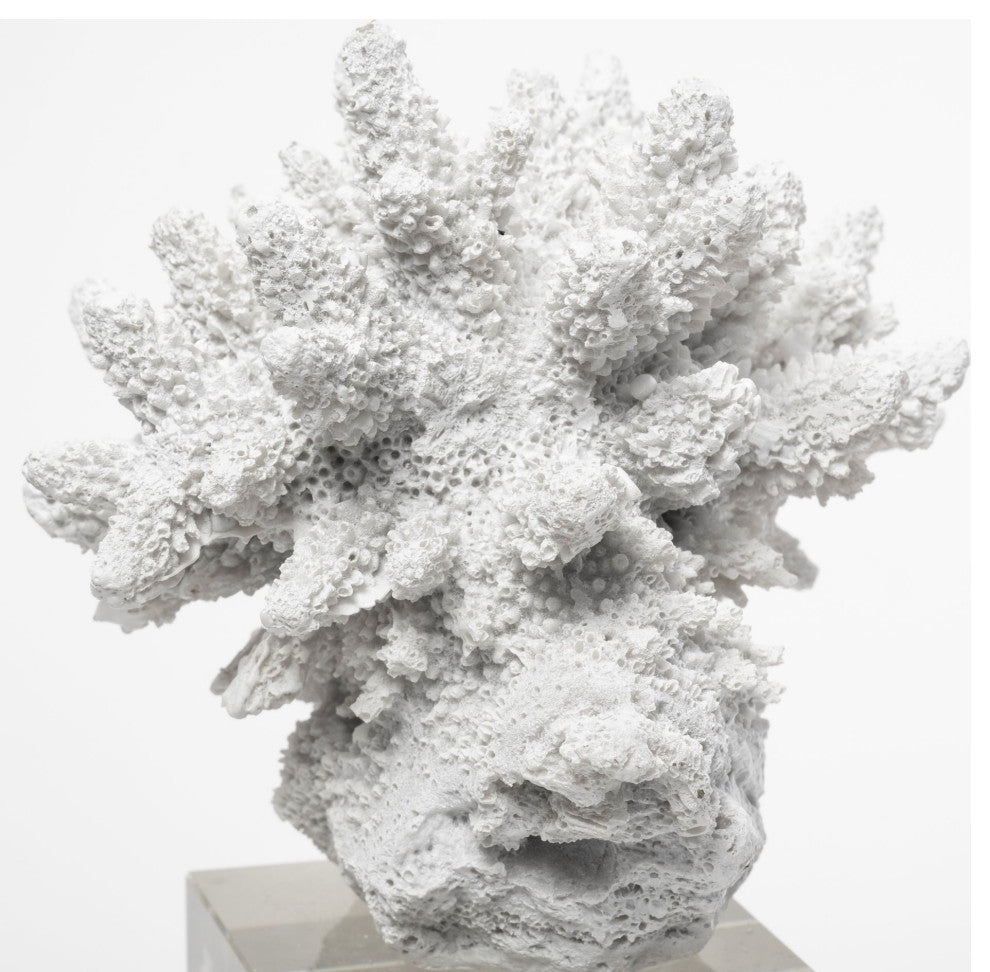 Isla, Large, 5Lx5W White Replica Resin Coral On Clear White Glass