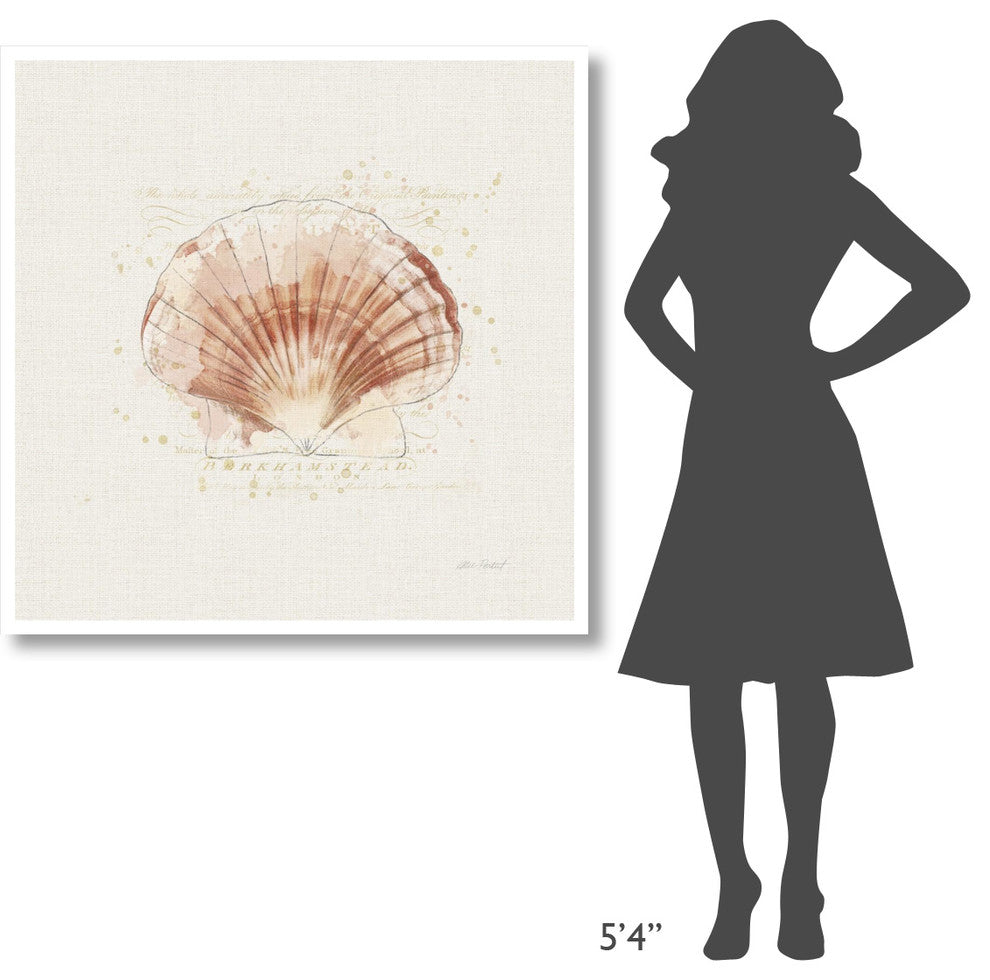 "Shell Collector IV" Digital Paper Print by Katie Pertiet, 42"x42"