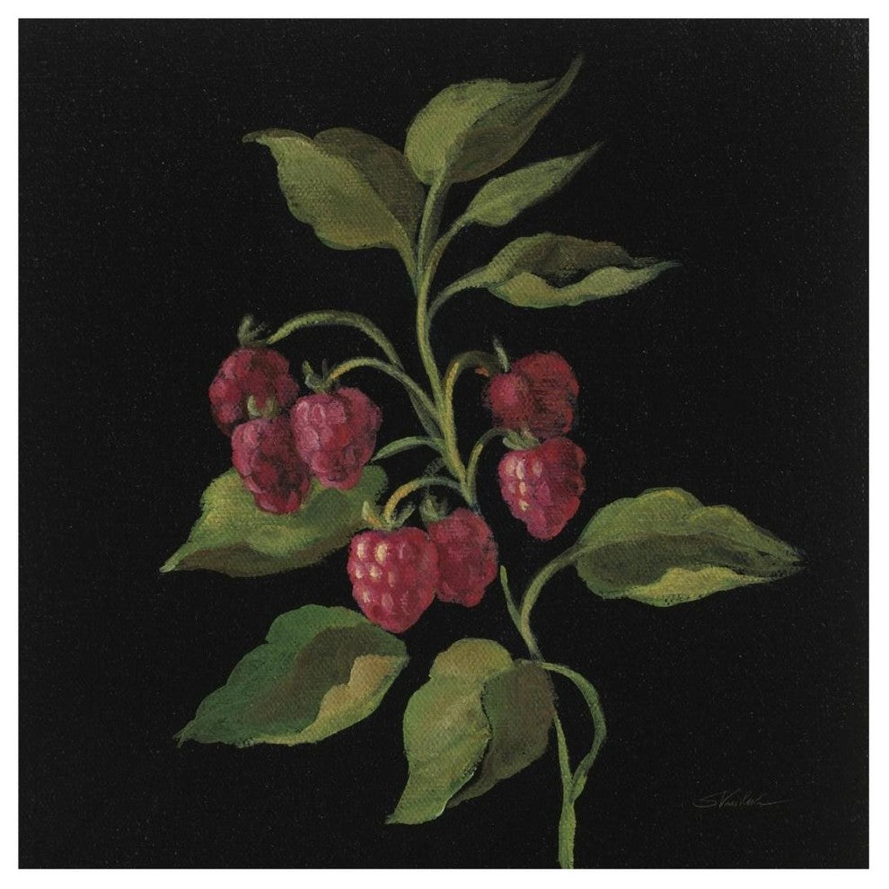 "Framboise no Words" Digital Paper Print by Silvia Vassileva, 20"x20"