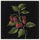 "Framboise no Words" Digital Paper Print by Silvia Vassileva, 20"x20"