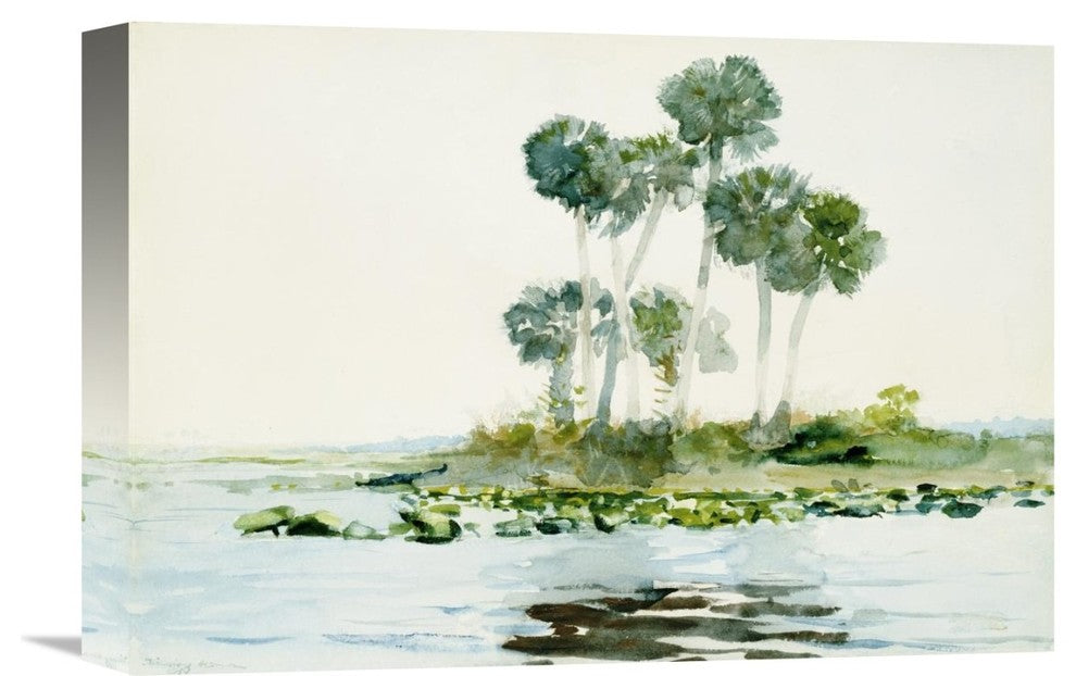 "St. Johns River, Florida" Stretched Canvas Giclee by Winslow Homer, 16"x11"