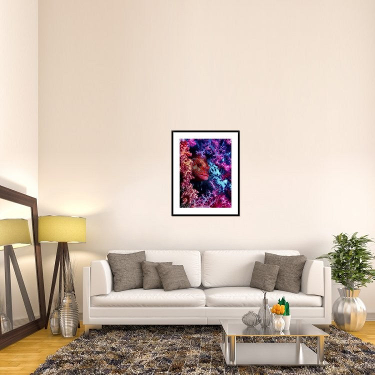 "Coral Hind" Framed Digital Print by Dani Barchana, 32x40"