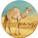 Camel Walking In Desert, Watercolor Animal Round Wall Art, 36"