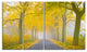 "Misty Road in Yellow Autumn Forest" Photograph Print, 4 Panels, 48"x28"
