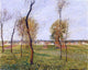 Camille Pissarro A Meadow in Moret, 20"x25" Wall Decal Print