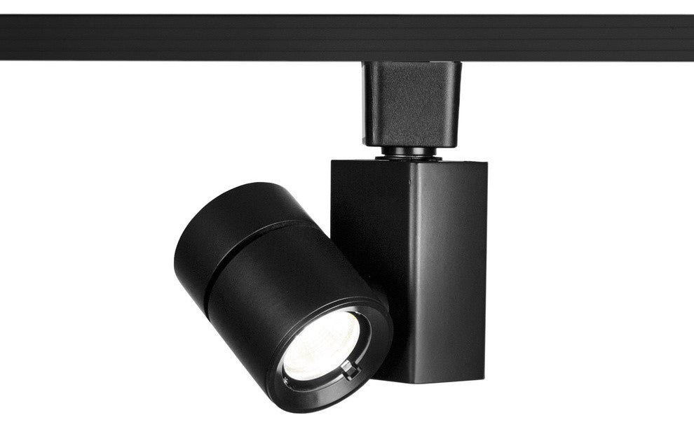 WAC Lighting Exterminator II LED Fixture 3500K Flood Beam, Black, H Track