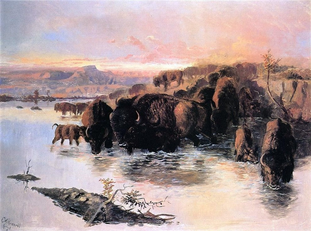 Charles Marion Russell The Buffalo Herd - 21" x 28" Premium Canvas Print