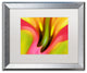 'Pink Lily' Matted Framed Art, Silver Frame, White Matte, 20x16