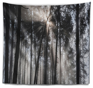 Sunbeams through Black White Forest Forest Wall Tapestry, 92"x78"