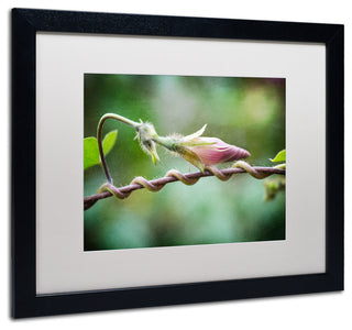 'Focus' Matted Framed Canvas Art by Philippe Sainte-Laudy