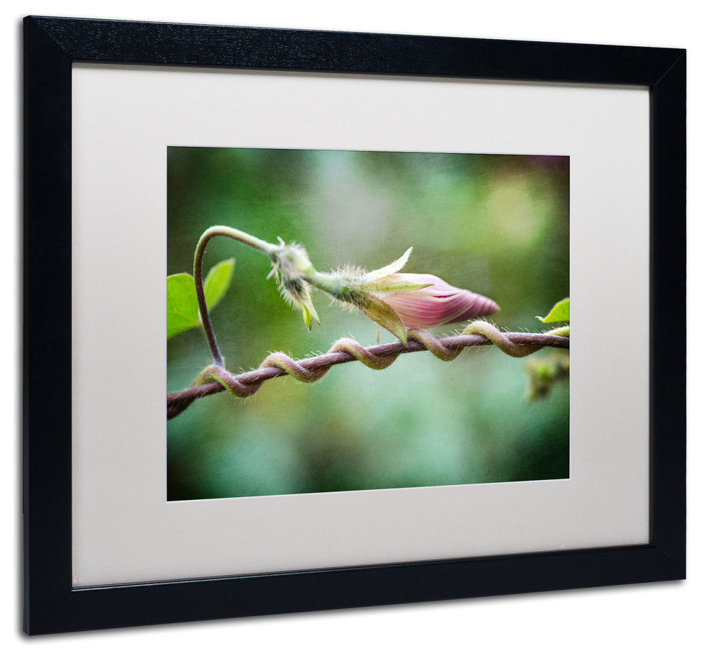 'Focus' Matted Framed Canvas Art by Philippe Sainte-Laudy