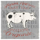 "Farmers Market XI" Digital Paper Print by Janelle Penner, 20"x20"