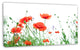 Poppy Flowers on White Background, Floral Canvas Art Print, 32"x16"