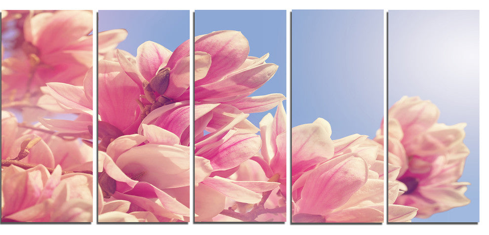 Magnolia Flowers on Sky Background, Floral Canvas Print, 60"x28", 5 Panels