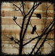 Marmont Hill, "Upstairs Neighbor" by Vicki Butler Print, Natural Pine Wood