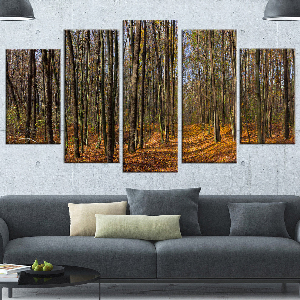 Dense Fall Forest Panorama, Forest Canvas Art Print, 60"x32", 5 Panels