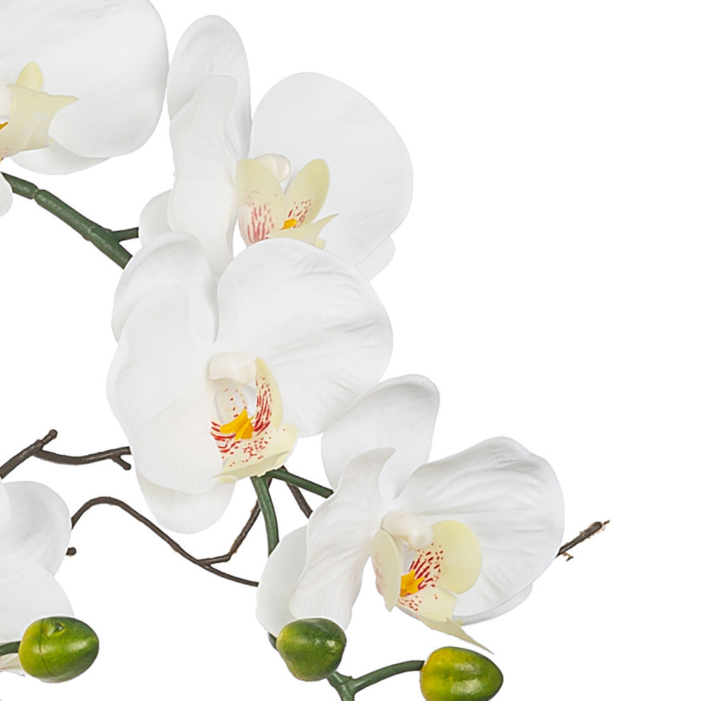 Artificial Phalaenopsis Orchids Floral Arrangement, Glass Vase