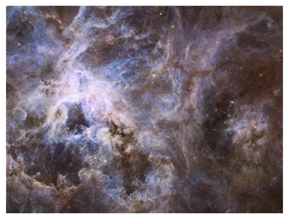 "Wide Field 30 Doradus UVIS" Digital Paper Print by NASA, 42"x32"
