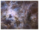 "Wide Field 30 Doradus UVIS" Digital Paper Print by NASA, 42"x32"